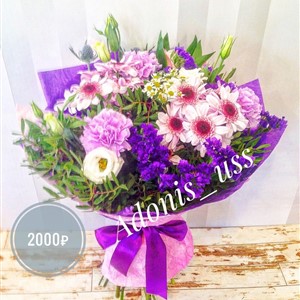 Лунная соната 