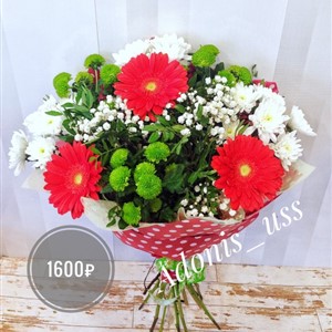 Яркие герберы