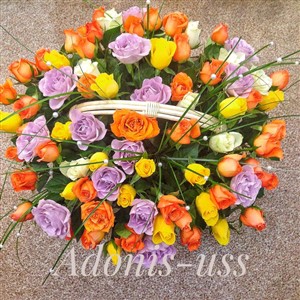 Краски осени